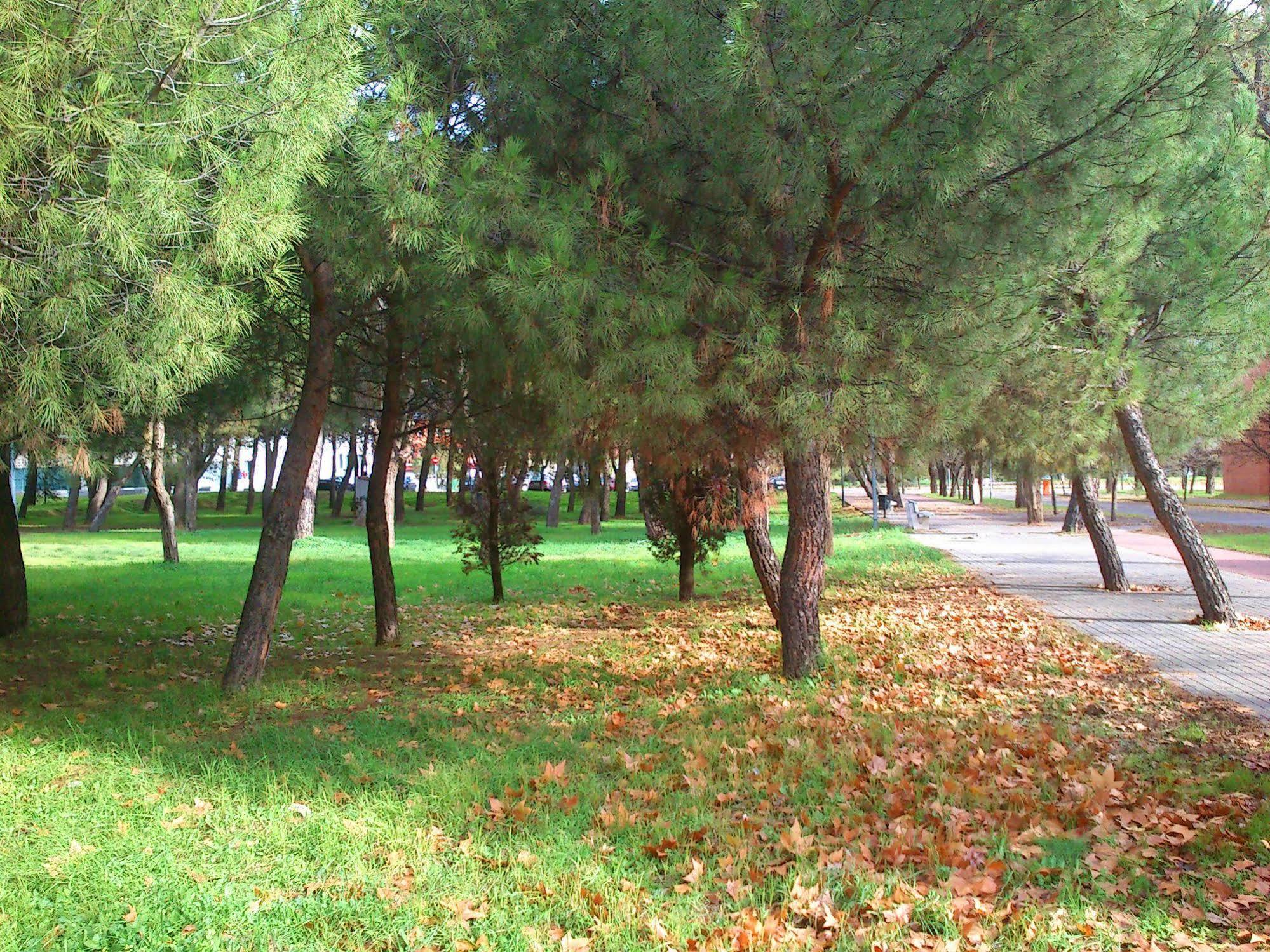 Residencia Universitaria Resa Giner De Los Rios Alcalá de Henares Extérieur photo